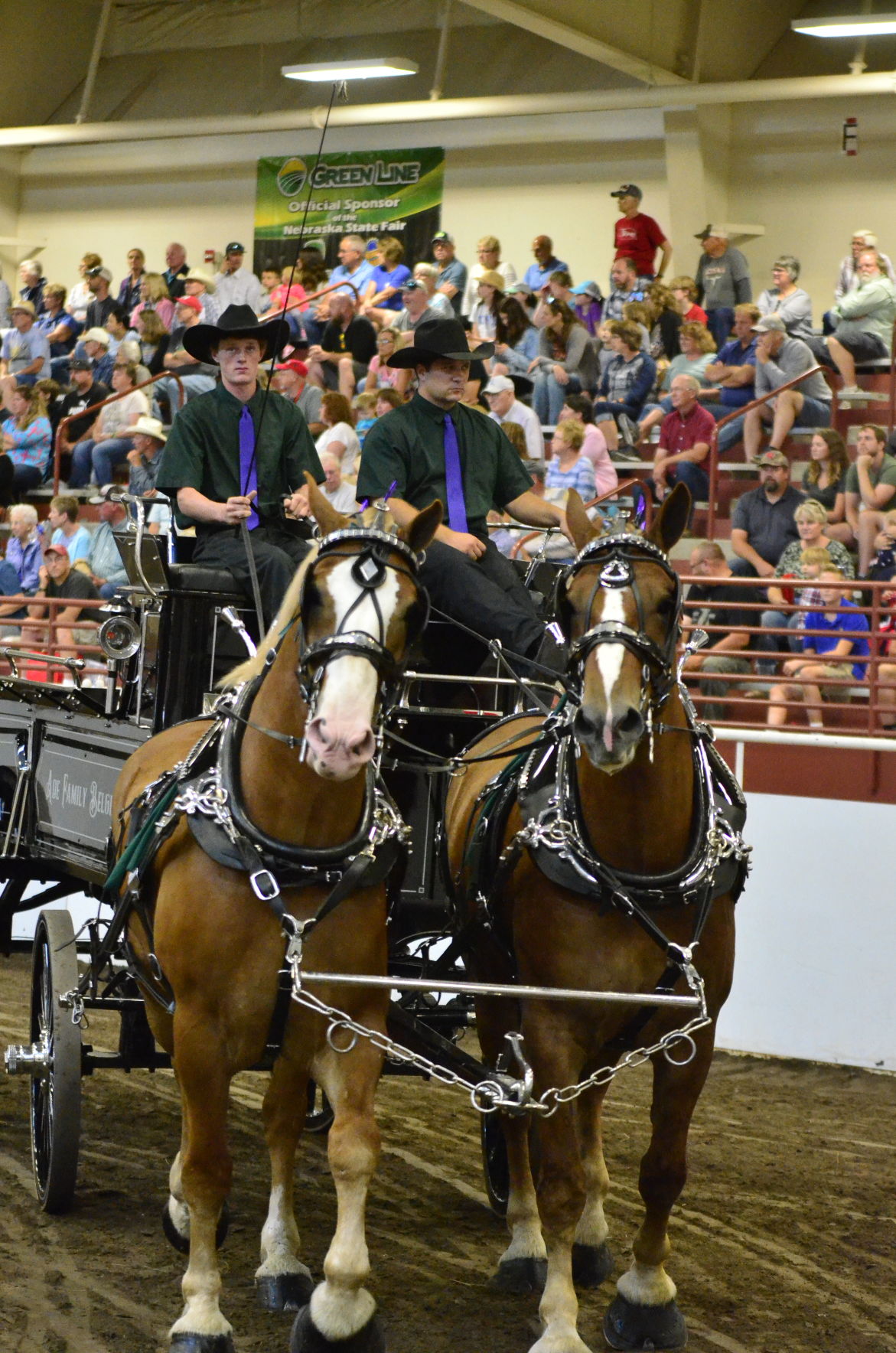 8-25-19 Draft Horse Hitch Final (62).JPG